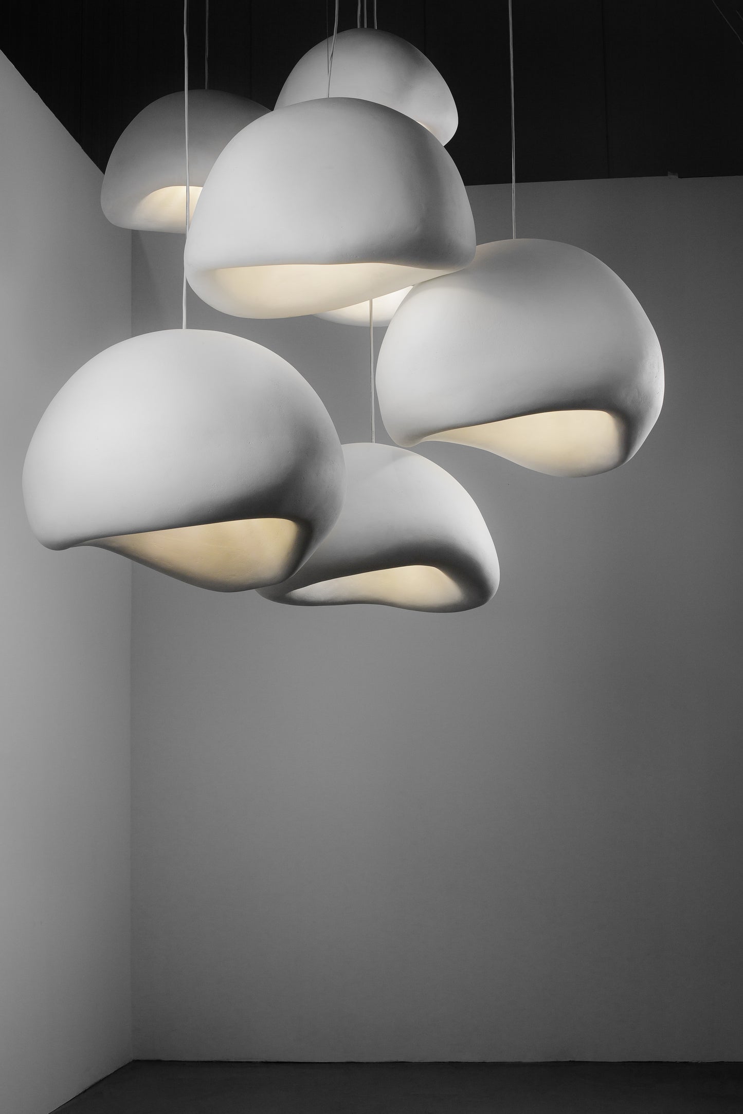 Dugong Pendant Lamp Fine Finish