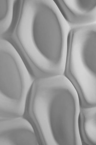 CELLS sculpture fine finish
